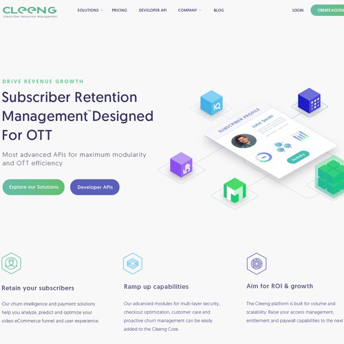 Saas Company website 