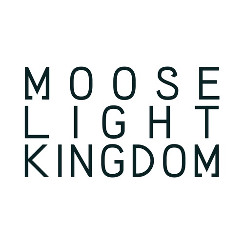 Simple but catchy logo for Electro Pop music artist