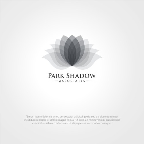 Park Shadow Associates