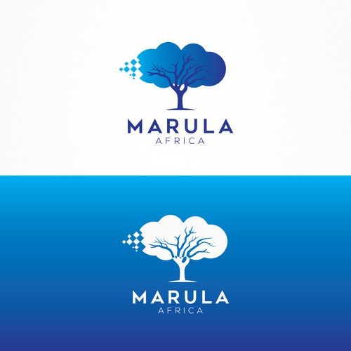 Payment Provider for Marula Africa