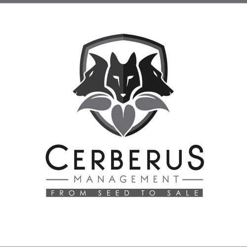 Cerberus Management