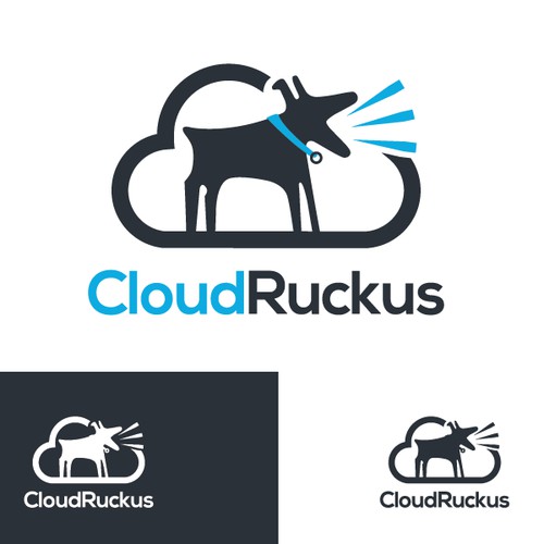 CLOUD RUCKUS