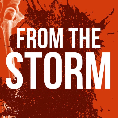 Buchcover FROM THE STORM#1