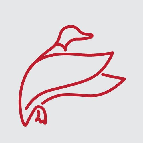 Outline of Flying duck 