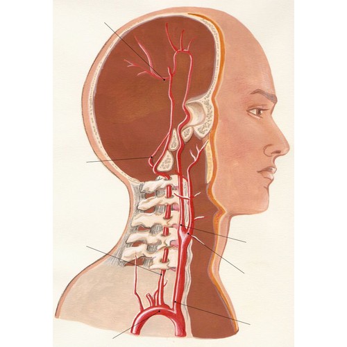 New art or illustration wanted for OnlineUSADoctors