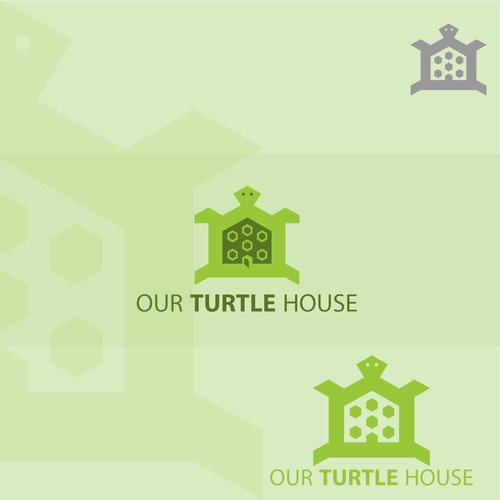 OUR TURTLE HOUSE