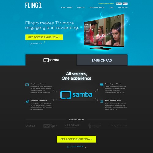 Flingo needs a new website design