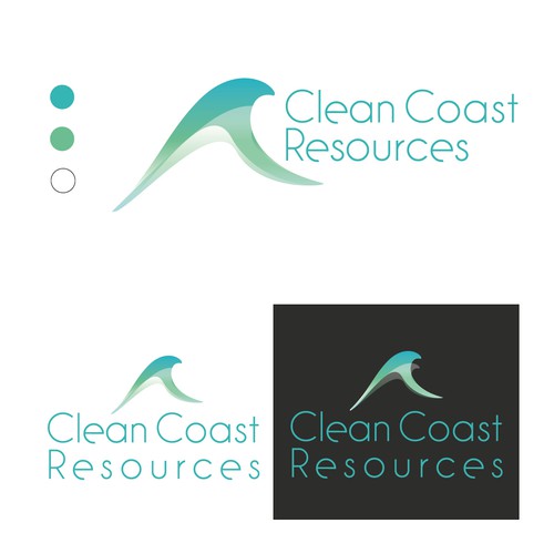 Clean and Simple logo for environmental company