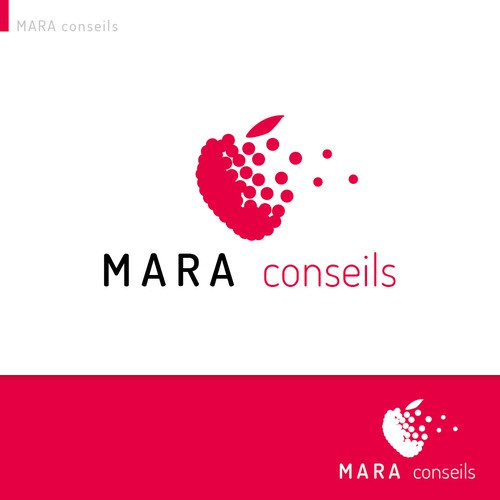 logo_mara conseils