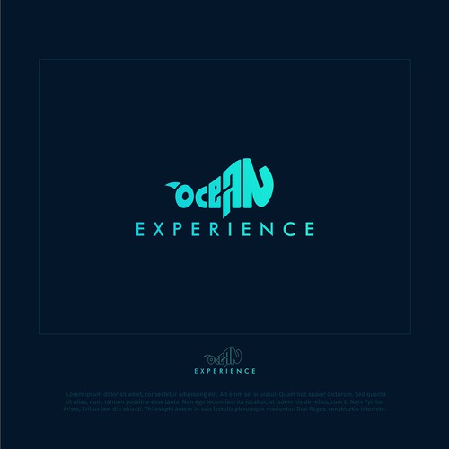 Ocean Experience