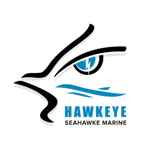 Logo Design for Hawkeye Seahawke Marine