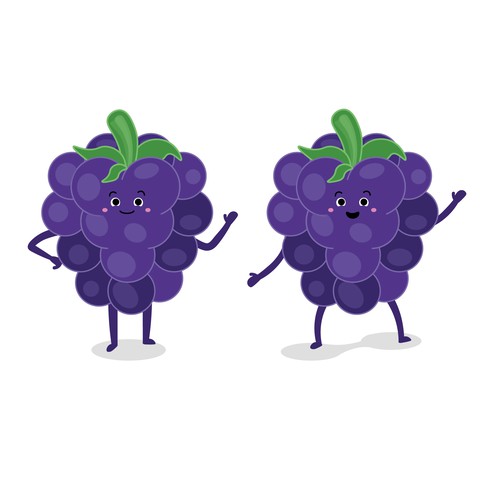 Farm BlueBerry Mascotte