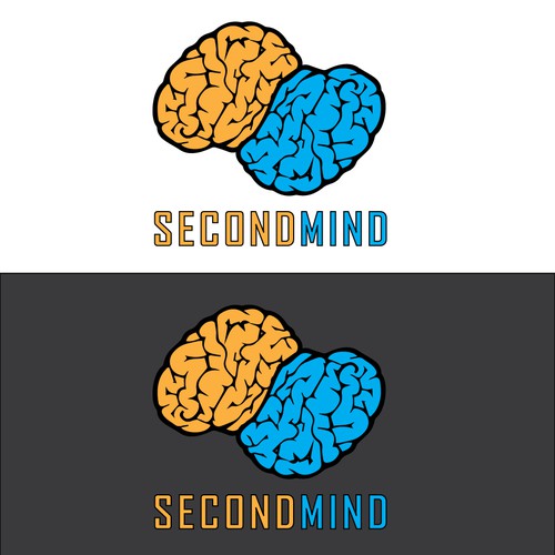 Brains conections