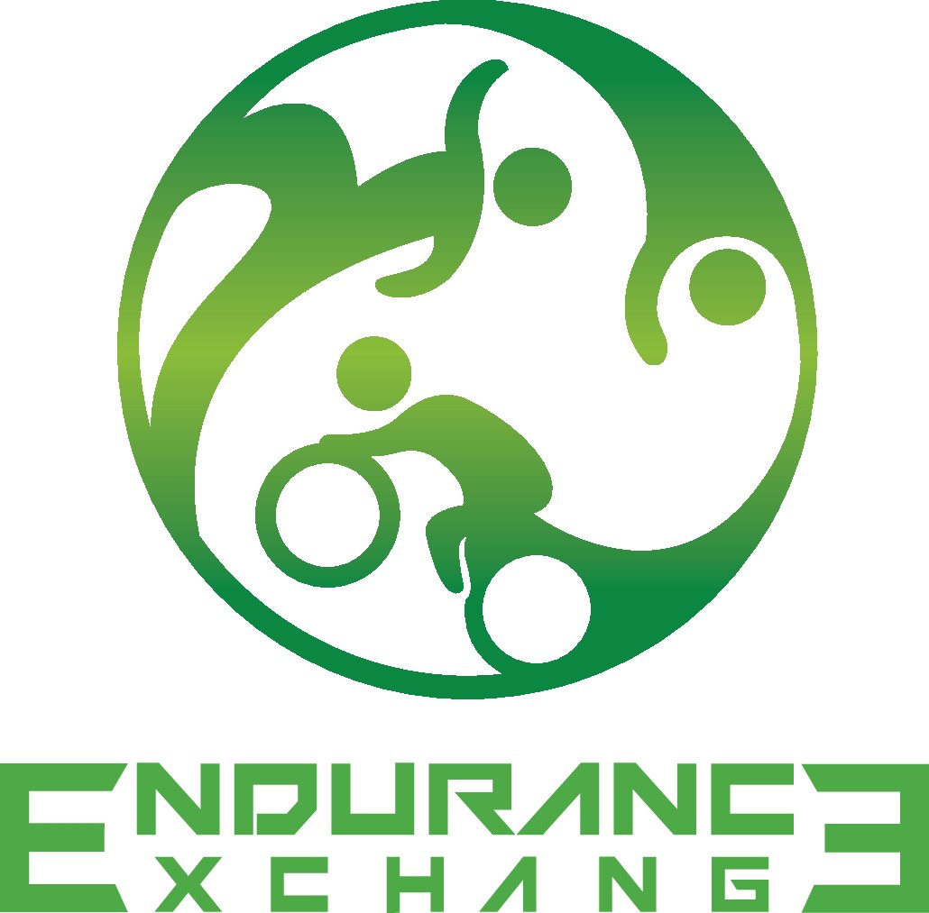 Design an engaging logo for a new triathlon national conference