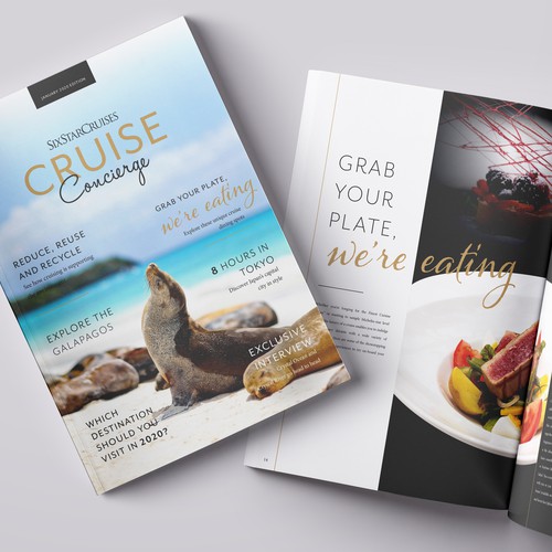 Luxury cruise travel magazine design