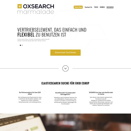 Landingpage für Softwareprodukt