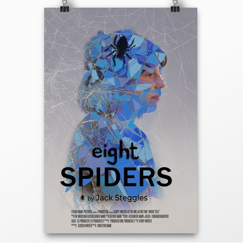 Eight Spiders ~ Web Mosaic Poster