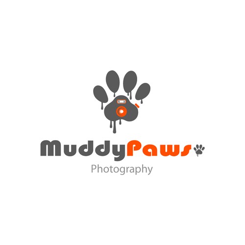 Create an amazing fun and professional logo for pet photography company!