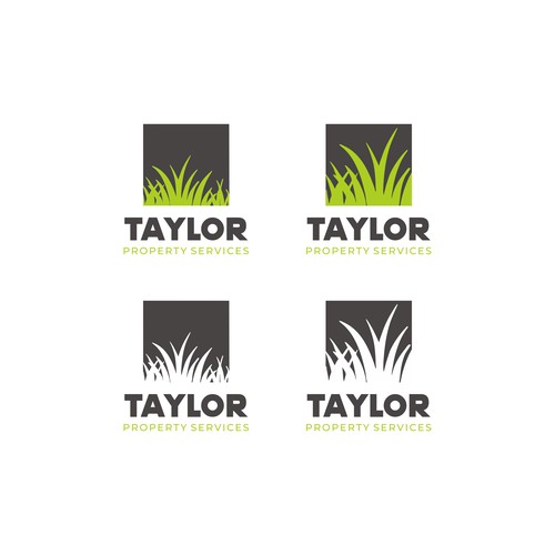 Taylor Property Services