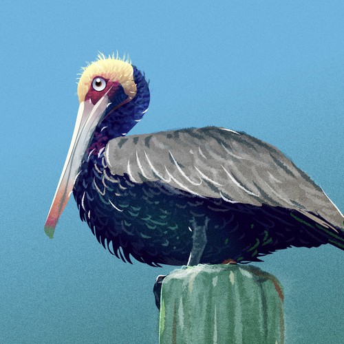 The Bird