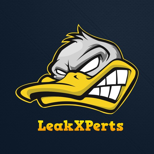 LeakXPerts