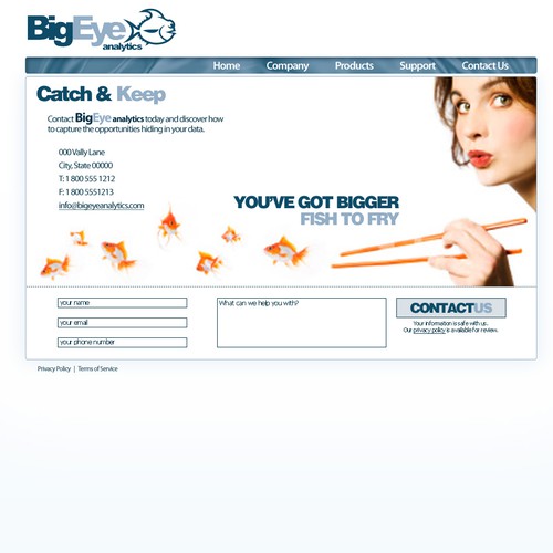 BigEye Analytics Website