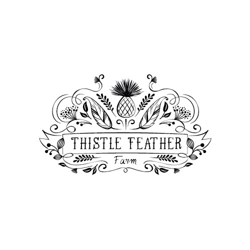 - thistle feater farm -