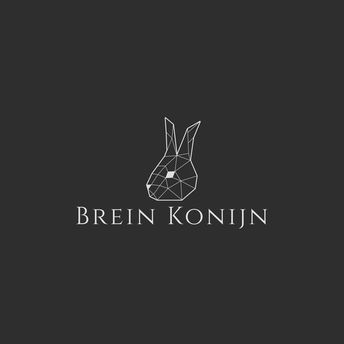 brein konijn