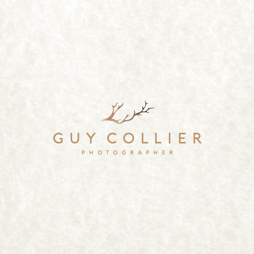logo for Professional, luxe wedding photographer