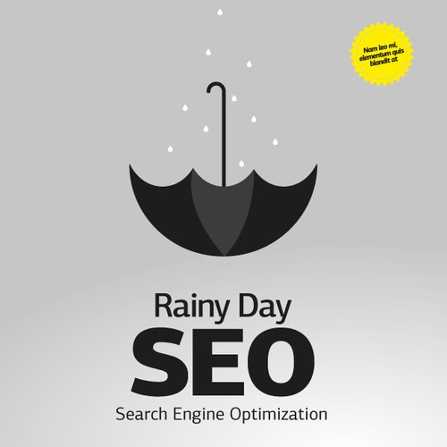 BIG RELEASE BOOK:  Rainy Day SEO  (Cover Needed)