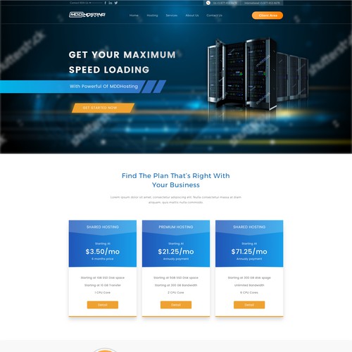 Homepage for MDDHosting service