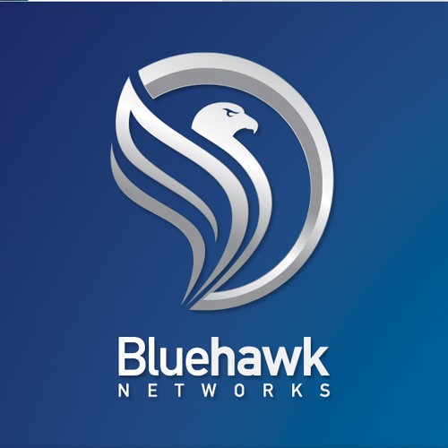 Logo design for Bluehawk networks