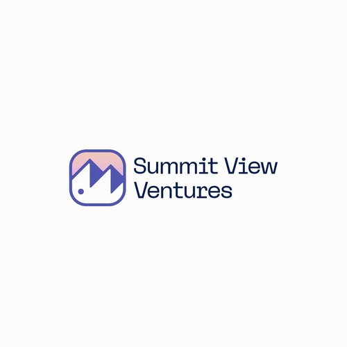 SUMMIT VIEW VENTURES