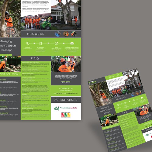 Create a professional brochure for Sydney's best tree service company!