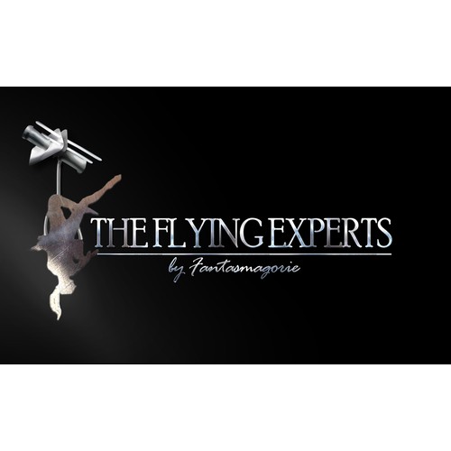 Logo creation for The Flying Experts who makes flying effects