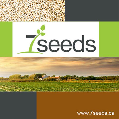 Natural look for organic seed company's brochure 