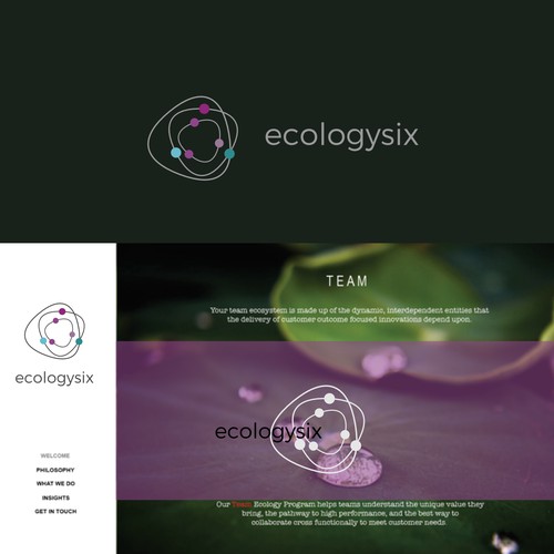 ecologysix