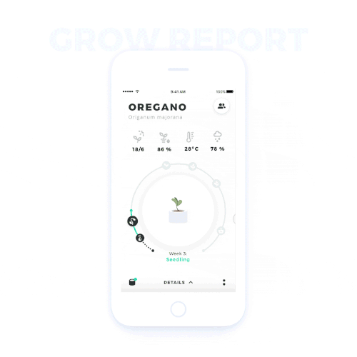 Design and animation for Smart home grow system