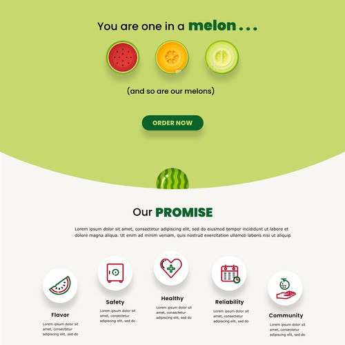 MelonCo Web Redesign 