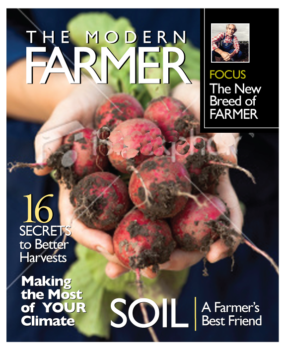 The Modern Farmer Magazine design for Wolf Digital Publishing