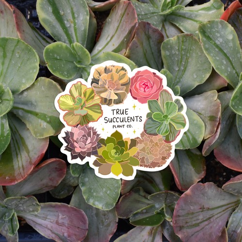 Design a sticker for an online plant nursery