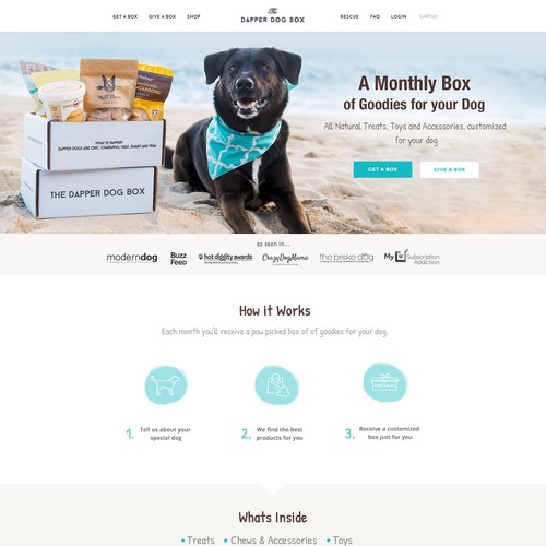 Homepage for an Upscale Startup Pet Subscription Company 