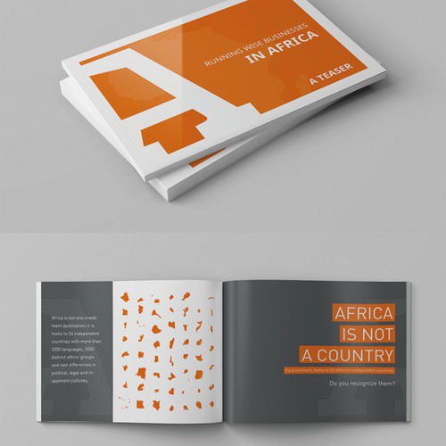 Booklet for consultancy firm Afriwise.