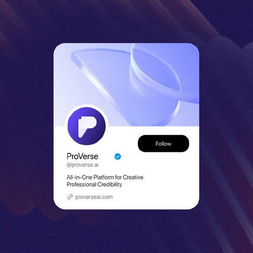 ProVerse | Brand Identity
