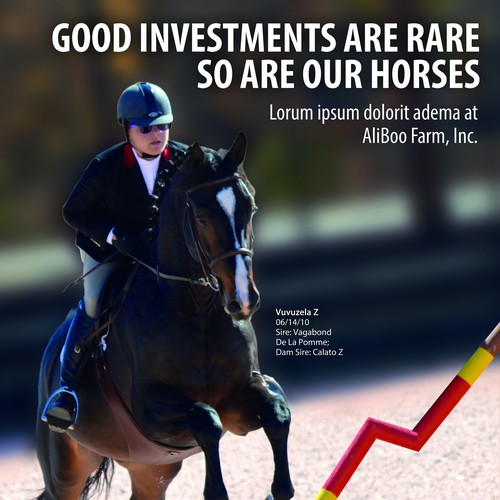 Show Jumping Hunter and Jumper Horse Ad with a Stock Market Theme