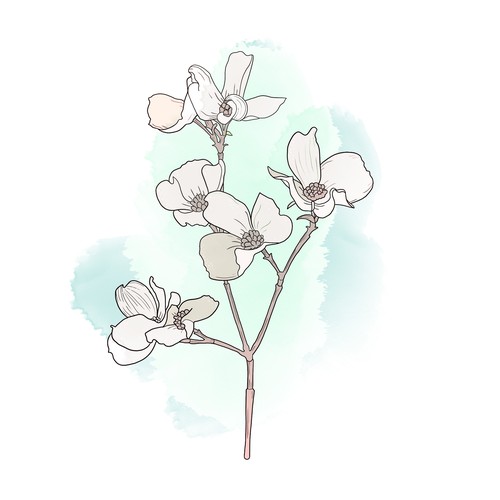 Illustration flower
