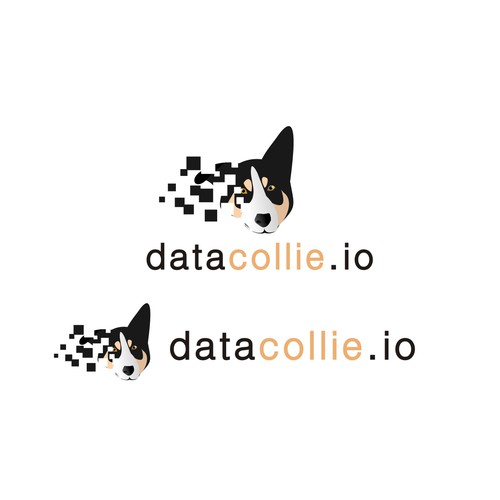 logo for datacollie.io