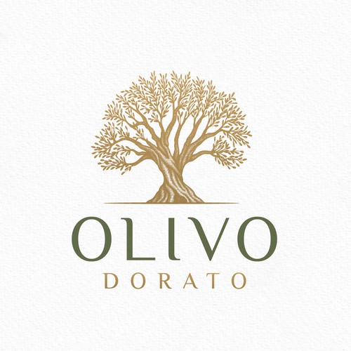 Beautiful Olive Tree Logo
