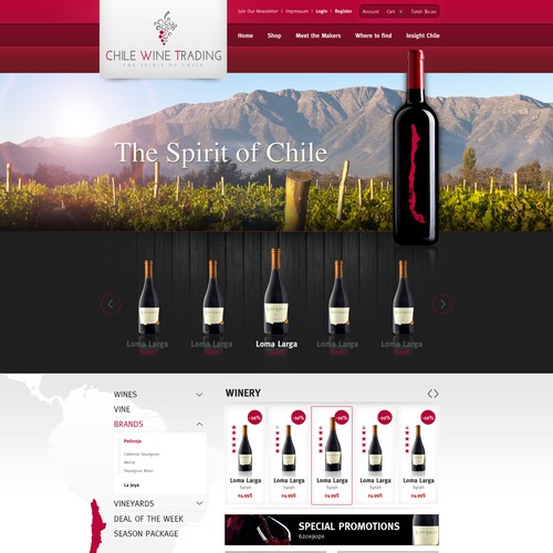 Cooles Website design für ChileWineTrading