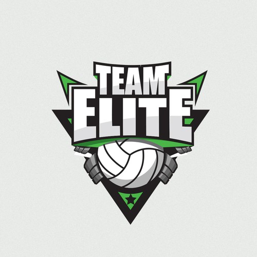 Logo Concept for Team Elite